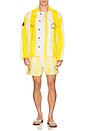 view 5 of 6 x Lakers Terry Pool Jacket in Gold
