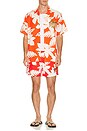 view 3 of 4 x Jimmy Buffett's Margaritaville Beach Club Shirt in Red