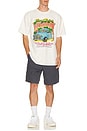 view 3 of 4 x Jimmy Buffett's Margaritaville Cruiser Tee in Antique