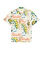 view 5 of 4 CHEMISE FLORIDA in Antique