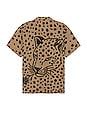 view 2 of 4 Big Cat Button Up in Tan