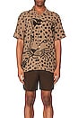view 3 of 4 Big Cat Button Up in Tan