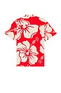 view 2 of 3 Trouble in Paradise Shirt in Red