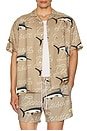 view 3 of 4 Dolphin Leisure Button Up Shirt in Brown
