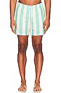 view 3 of 3 Traveler Swim Short in Teal