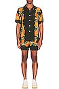 view 4 of 4 Tropical Orange Swim Short in Black