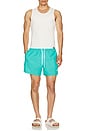 view 6 of 6 Basics Swim Shorts in Marine