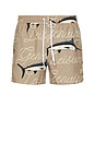 view 1 of 5 Dolphin Leisure Swim Shorts in Brown
