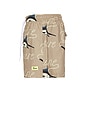 view 3 of 5 Dolphin Leisure Swim Shorts in Brown