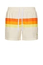 view 1 of 5 Horizon Swim Shorts in Antique