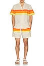 view 5 of 5 Horizon Swim Shorts in Antique