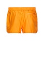 view 2 of 5 Genuine Leisure Tanning Swim Shorts in Sunburnt
