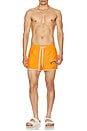 view 5 of 5 Genuine Leisure Tanning Swim Shorts in Sunburnt
