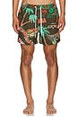 view 3 of 4 Palm Swim Short in Brown