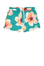 view 4 of 5 Bloom Swim Shorts in Green