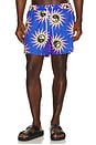 view 1 of 5 Sun Energy Swim Shorts in Blue