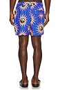 view 2 of 5 Sun Energy Swim Shorts in Blue
