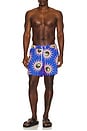 view 3 of 5 Sun Energy Swim Shorts in Blue
