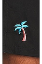 view 3 of 4 Palm Swim Short in Black