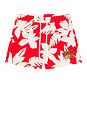 view 4 of 5 x Jimmy Buffett's Margaritaville Beach Club Swim Short in Red
