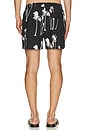 view 4 of 6 Hurricane Palm Swim Short in Black
