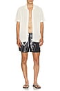 view 5 of 6 Hurricane Palm Swim Short in Black