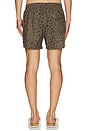 view 4 of 6 Club Swim Short in Leopard