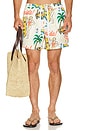 view 1 of 5 Florida 2.0 Swim Short in Antique