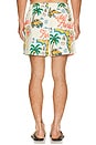 view 2 of 5 Florida 2.0 Swim Short in Antique