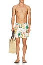 view 4 of 5 Florida 2.0 Swim Short in Antique