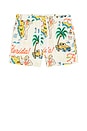 view 5 of 5 Florida 2.0 Swim Short in Antique