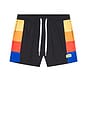 view 6 of 6 Side Block Swim Short in Black