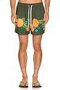 view 1 of 5 Tropical Orange Swim Short in Orange