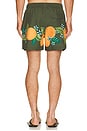 view 2 of 5 Tropical Orange Swim Short in Orange