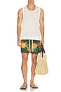 view 4 of 5 Tropical Orange Swim Short in Orange