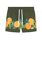 view 5 of 5 Tropical Orange Swim Short in Orange
