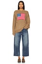 view 5 of 5 American Flag Sweater in Light Heather Brown