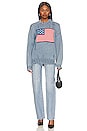 view 4 of 4 American Flag Sweater in Light Indigo