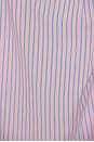 view 5 of 5 Boyfriend Shirt in Pink With Blue Stripe