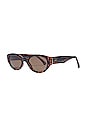 view 2 of 3 x Bretman Rock 444 in Tortoise & Brown Polarized in 