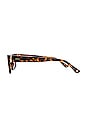 view 3 of 3 LUNETTES DE SOLEIL LAUREL in Tortoise & Grey