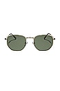 view 1 of 2 Roxbury Sunglasses in Gold & Polarized G15