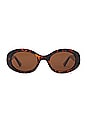 view 1 of 3 Duxbury Sunglasses in Brown