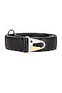 view 3 of 3 Dog Clip Belt in Black
