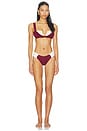view 4 of 4 TOP BIKINI ECLAT in Ruby Red & Ivory Apricot