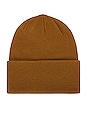 view 2 of 2 Tall Beanie in Brown Duck