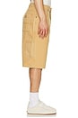view 2 of 6 SHORT CHARPENTIER WORN IN in Brown Duck