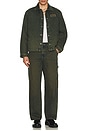 view 6 of 6 Loose Denim Painter in Green Tone Fade