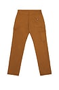 view 2 of 6 Flex Duck Carpenter Pant in Brown Duck