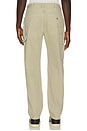 view 3 of 6 Relaxed Carpenter Duck Pant in Silver Birch